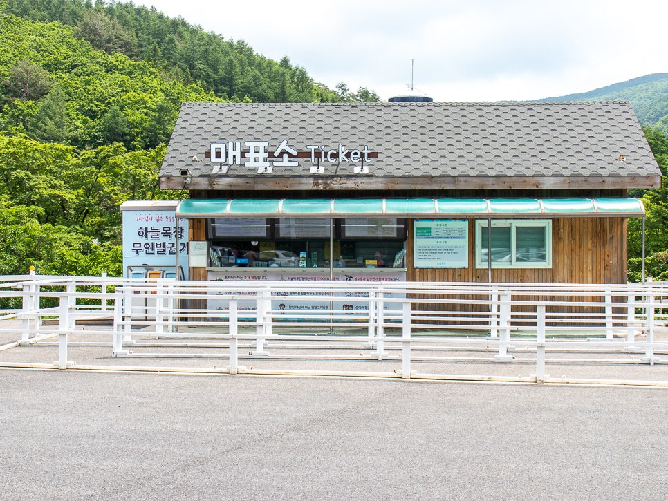 구름속의산책 사진 3