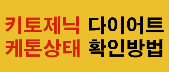  키토제닉 다이어트 상태확인해보기