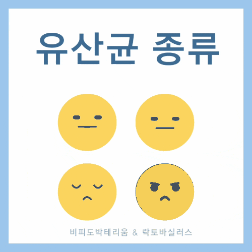  유산균 종류 및 효능