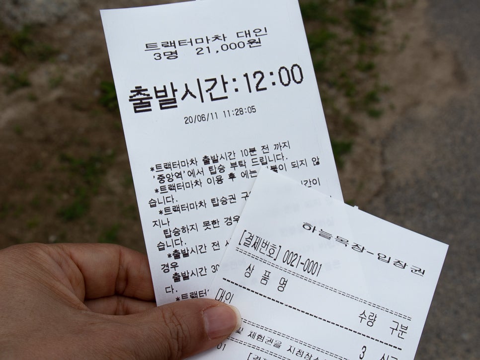 구름속의산책 사진 4