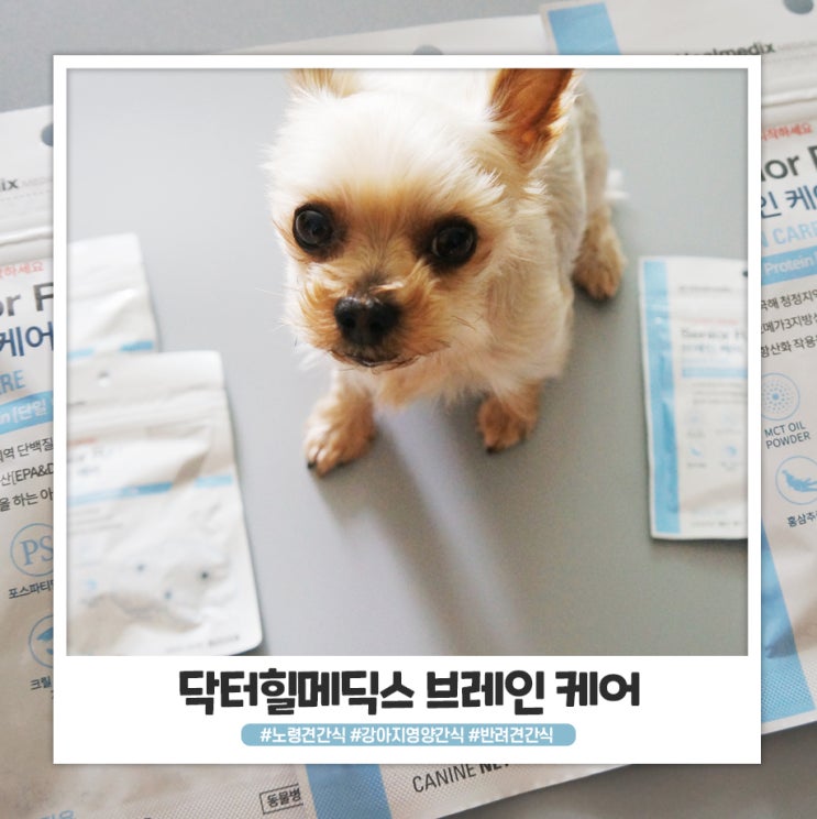 노령견간식 닥터힐메딕스 댕댕이간식으로 챙겨요 노령견간식 닥터힐메딕스 댕댕이간식으로 챙겨요