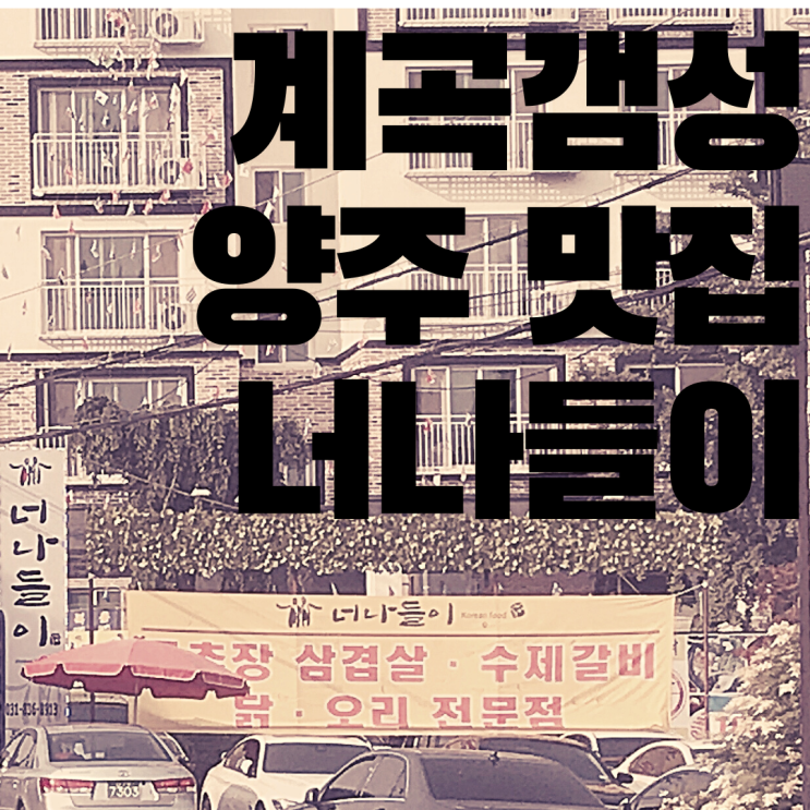  양주맛집 너나들이 ! 시원하게 발담그고 먹는 몸보신 백숙, 계곡갬성