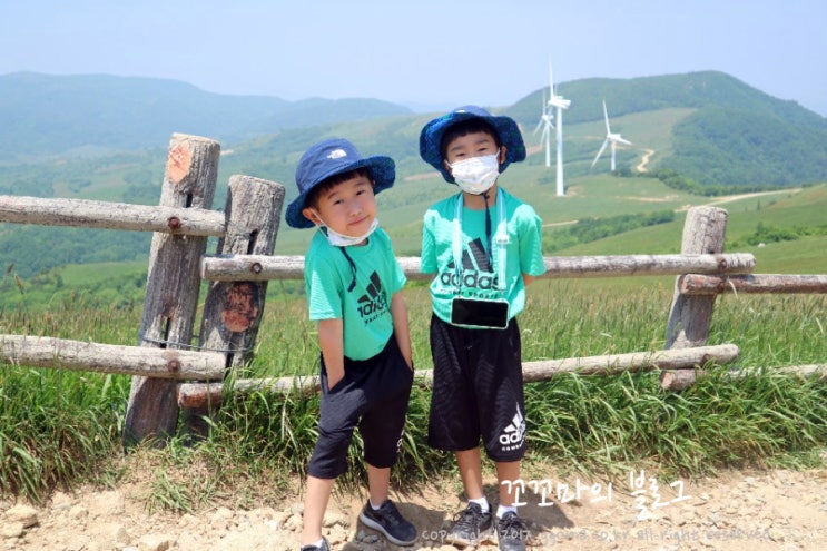  평창 가볼만한곳 대관령 삼양목장 양몰이공원 꿀잼
