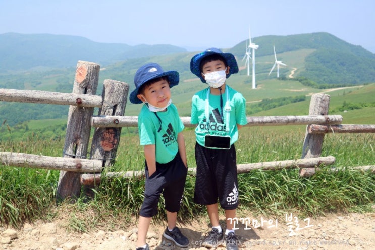 평창 가볼만한곳 대관령 삼양목장 양몰이공원 꿀잼