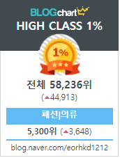  [블로그순위&수입] 블로그 활동 2달만에 상위 1%, 내 블로그 분석해보기