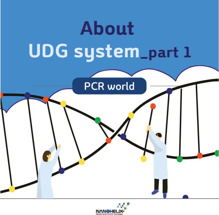  About UDG(Uracil DNA Glycosylase) system _ part 1