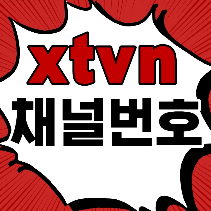  xtvn 채널번호 및 편성표 보는 방법