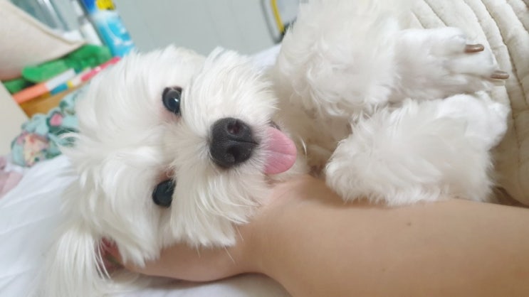 주말일상 심쿵사 당한 엄마