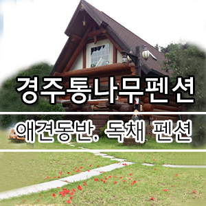  편백 집 한채를 통째로! 경주애견펜션, 애견과 함께 하는 힐링여행 [경주통나무펜션]