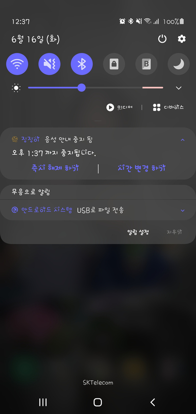  음성 안내 일시 중지 기능 사용 방법 (안드로이드 8.0 이상)