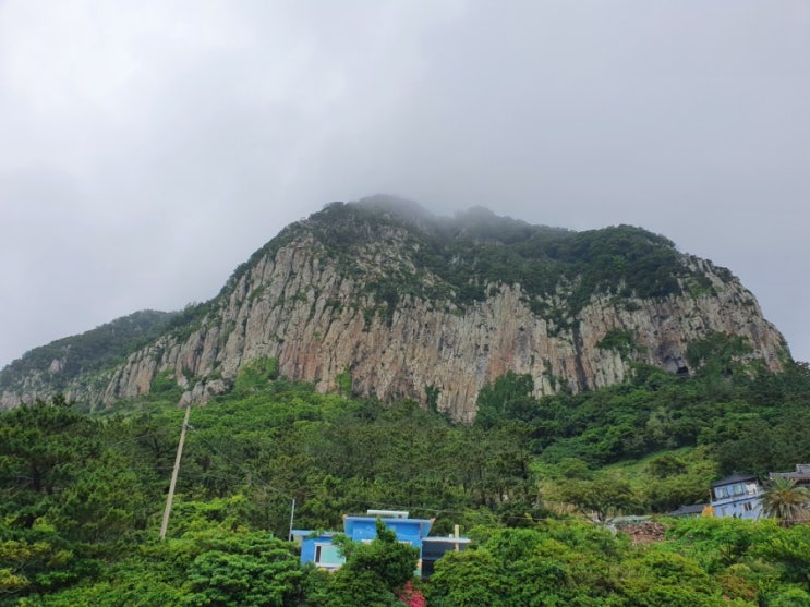 6월 제주도 자유 여행 : 바다가 보이는 서귀포 산방산 보문사 / 산방굴사