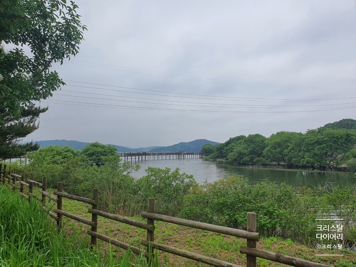  [논산] 수변데크 둘레길 산책, 탑정호 나들이