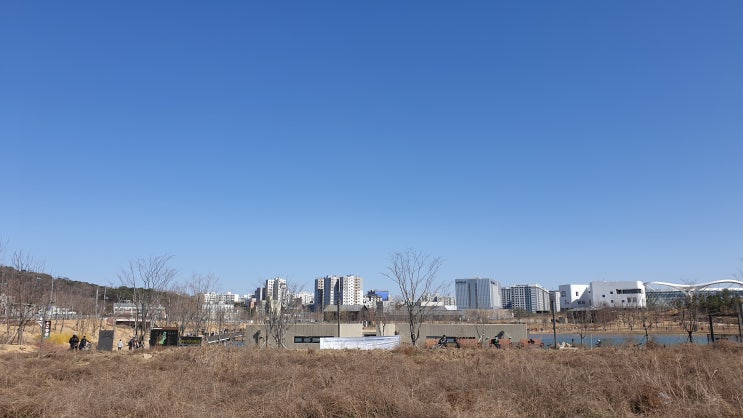 비문증 증상 원인과 치료