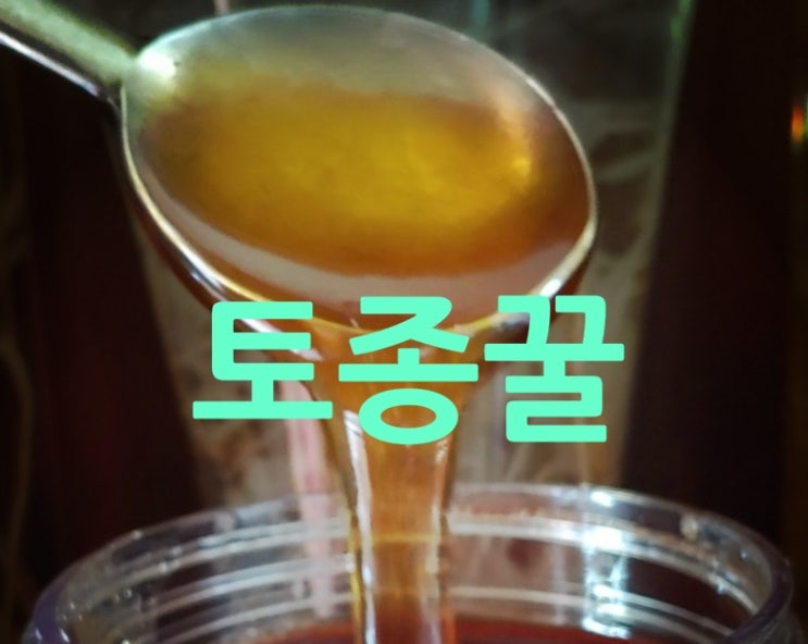 토종꿀 알아봅니다.