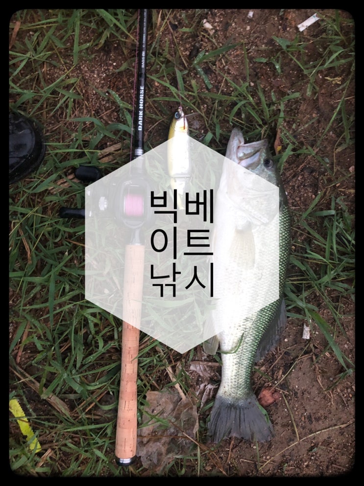  [충북]NS다크호스v2 xh대 마수하기 및 빅베이트 배스낚시~!