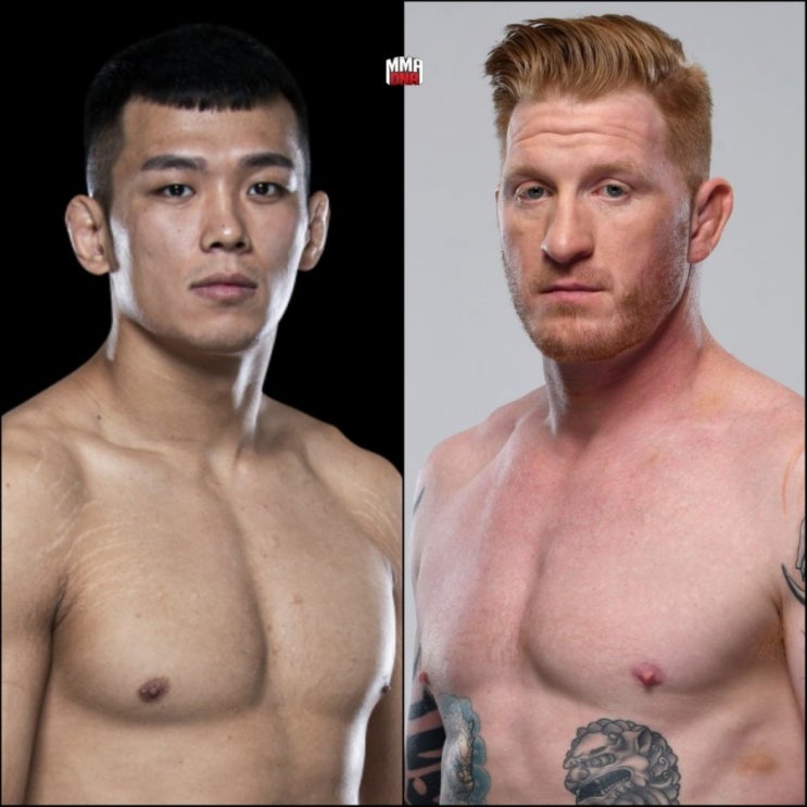 UFC 정다운 vs 에드 허먼, 케이터 vs 이게 확정 등 MMA 뉴스 UFC 정다운 vs 에드 허먼, 케이터 vs 이게 확정 등 MMA 뉴스