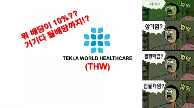  고배당,월배당을 주는 THW 펀드 계속 투자해도 될려나?