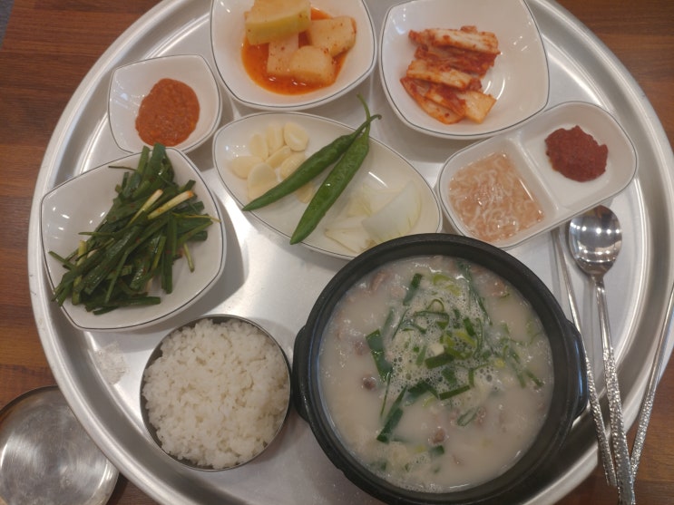  7호광장 맛집 일품 돼지국밥 이열치열로 더위를 싹~~