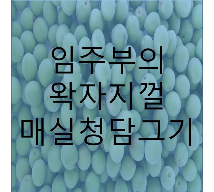  매실청 담그기
