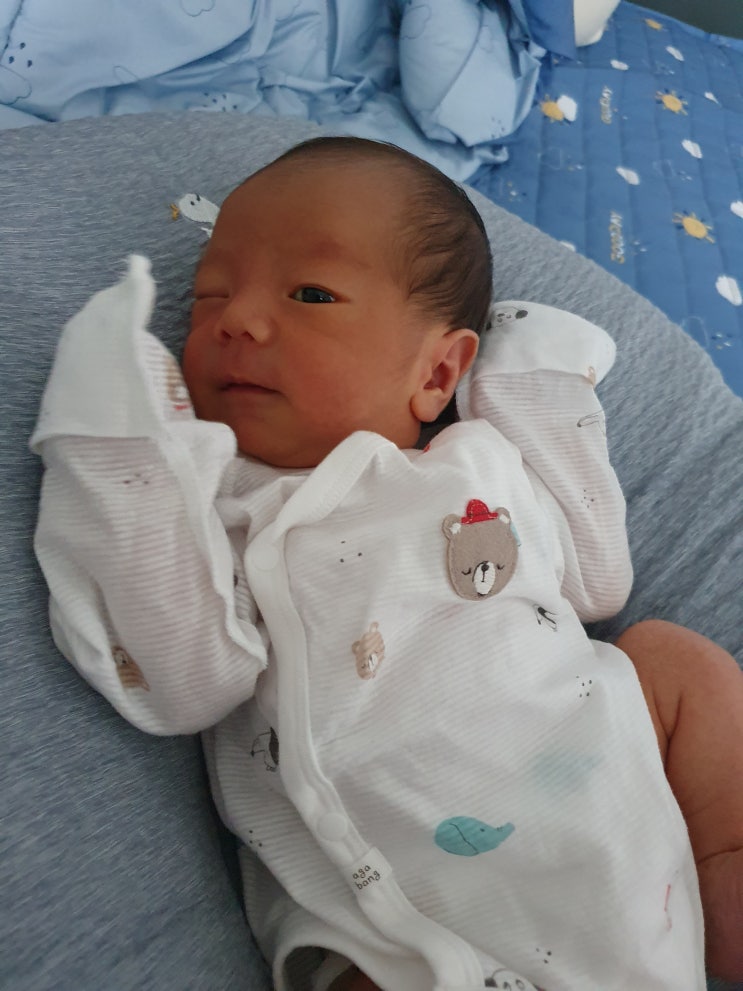 출산 후 니큐(NICU) 신생아 기흉 입원기 출산 후 니큐(NICU) 신생아 기흉 입원기