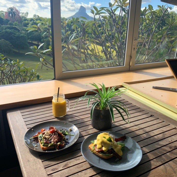  [호주 카페] 뷰 맛집 글라스하우스 마운틴 더 룩아웃 카페 'The Lookout Cafe'