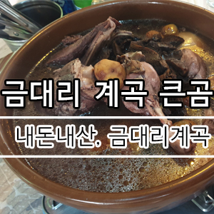  원주계곡식당, 금대리 계곡식당,큰곰집, 야외식당 [큰곰]