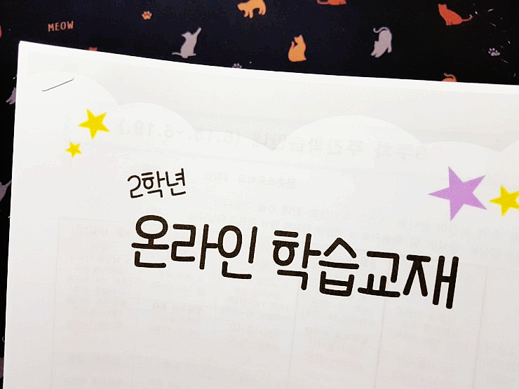  20'06 코로나 가정학습 선택 :: 홈스쿨링 학습 기록