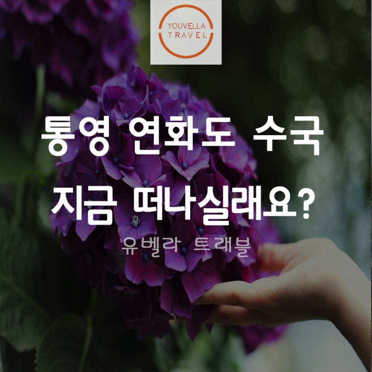 [부산출발] 통영 연화도 보덕암 수국길 수국축제 부산수송버스 포함