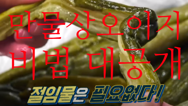  만물상오이지담그는법 비법 공개