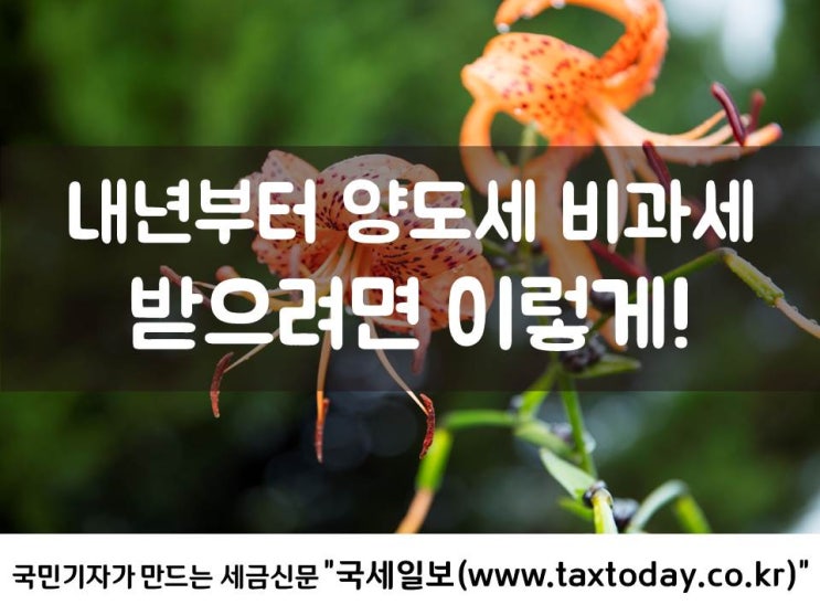  내년부터 양도세 비과세 받으려면 이렇게!