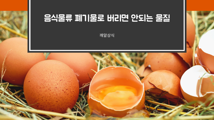  서른두번째_음식물류 폐기물로 배출해서는 안 되는 물질!(서울시 기준)