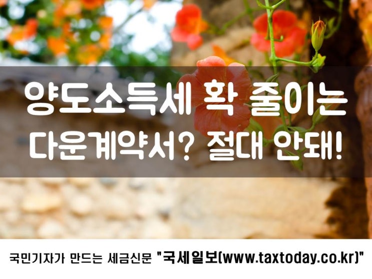  양도소득세 확 줄이는 다운계약서? 절대 안돼!