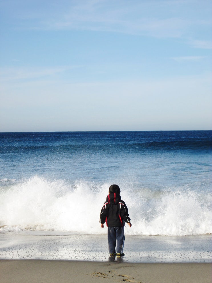  Monterey Family Trip 1 | 몬트레이 스테이트 비치