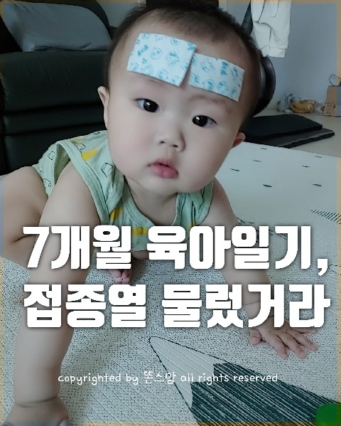  생후 7개월 아기 육아일기  첫번째 영유아검진 결과 / 토 안하는 비법은? / 폐구균 접종열 조심