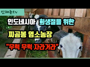 찌곰봉 염소농장의 인해촌 영농사업입니다