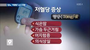  저혈당증 문헌고찰 1편 : 저혈당증 정의 원인 증상 케이스