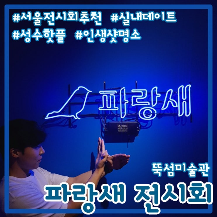  [8월 서울 전시회/서울 전시회 추천] 뚝섬미술관 파랑새 전시회/실내데이트/이색데이트/인생샷명소c