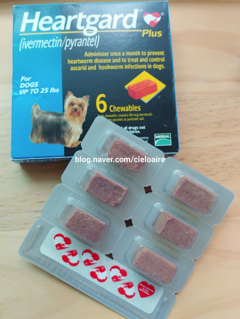 강아지 심장사상충 & 진드기 약 (먹는 약 vs 바르는 약 / 하트가드, 어드밴틱스, 필루 스팟온 후기) : 네이버 블로그