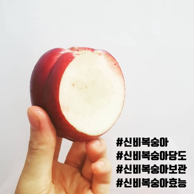  신비복숭아 보관 칼로리 효능 당도