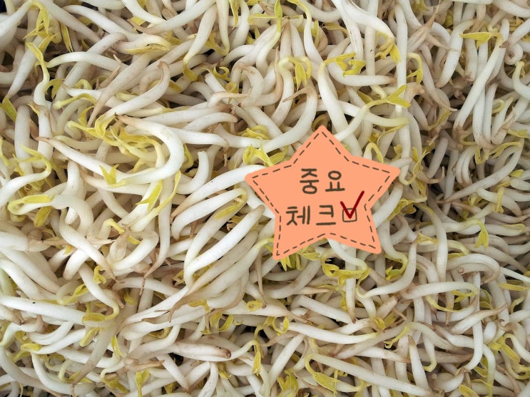  [만두추천] 비비고의 새로운 도전! 수제만두 느낌의 담백함으로 승부하는 비비고평양만두