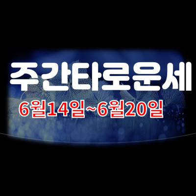  무료주간운세 6월21일~6월27일 타로로 보는 한주의 운세, 1,2,3,4번호를 고르세요 분당유명한타로 청담동마님