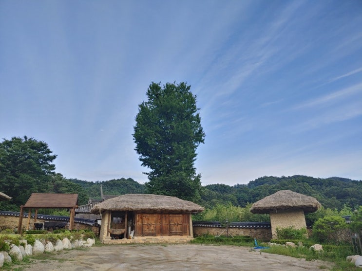  성주한개마을(성산이씨집성촌)경북성주군월항면 민속문화 관광지