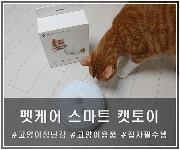 고양이 자동장난감 스마트캣토이 움직이는고양이장난감