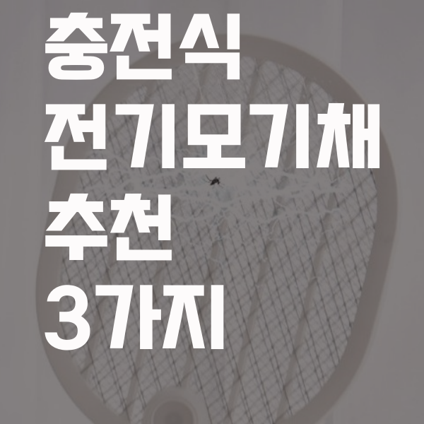  파리 모기 퇴치 전기모기채 BEST 3
