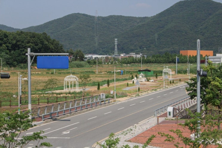  충북/음성 충북혁신도시 어울림 꽃단지 동네 출사