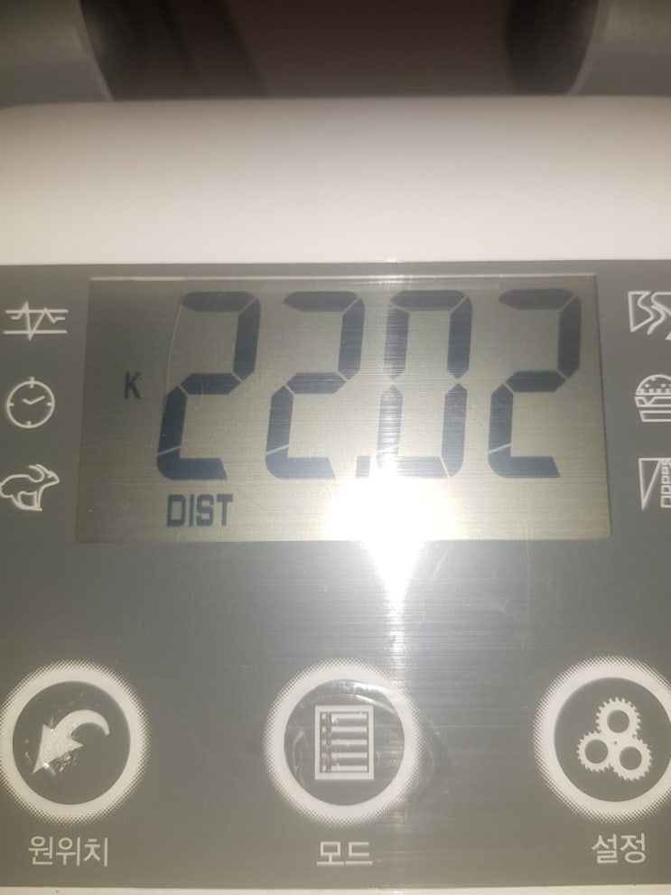  Day 019