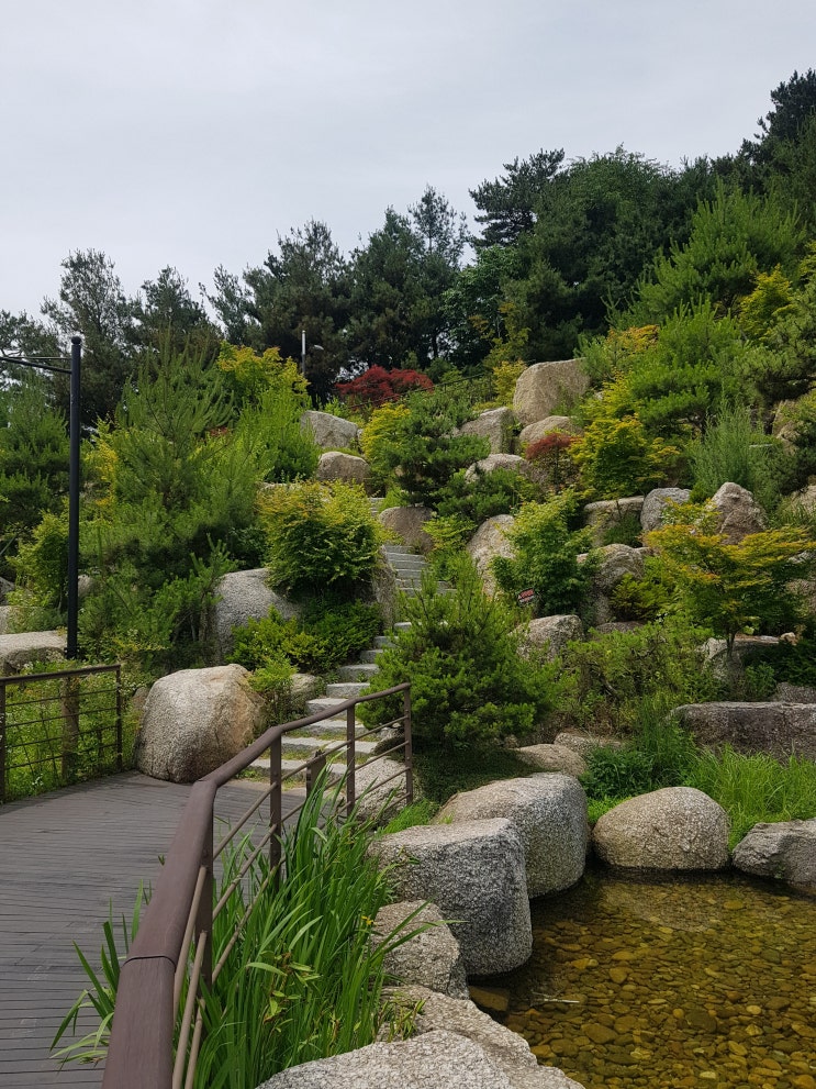  안산에 있었던 노적봉폭포공원엔 볼거리 가득 하네요