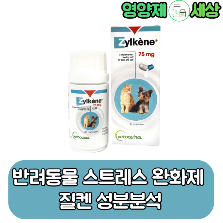 강아지 고양이 스트레스에 도움이 되는 질켄 성분분석