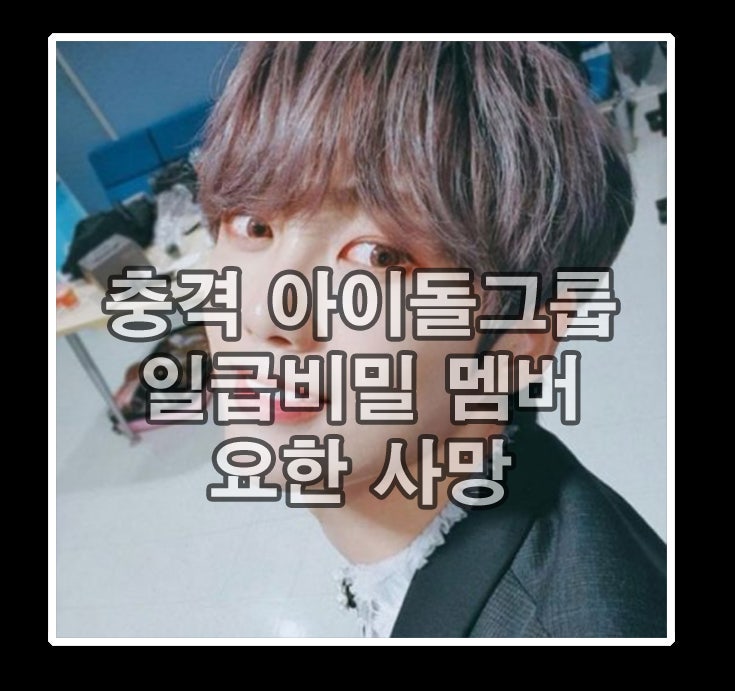 그룹 일급비밀 멤버 요한 사망원인 멈추지 않는 악플세례