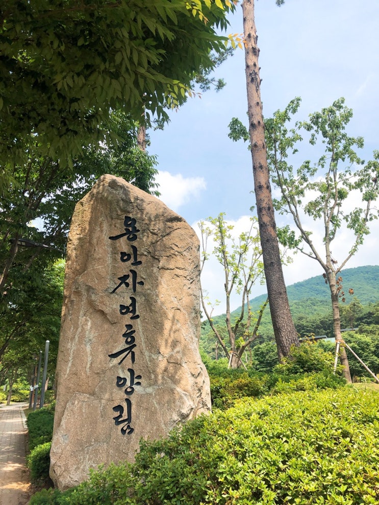  용인자연휴양림 나들이